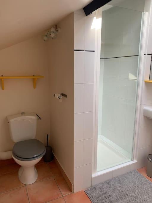 Maison 3 Chambres, Piscine, 2 Hectares De Jardin La Sauvetat-du-Dropt エクステリア 写真