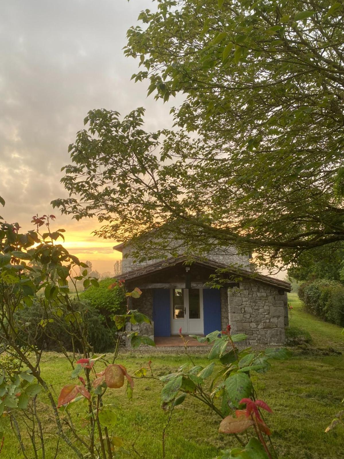 Maison 3 Chambres, Piscine, 2 Hectares De Jardin La Sauvetat-du-Dropt エクステリア 写真